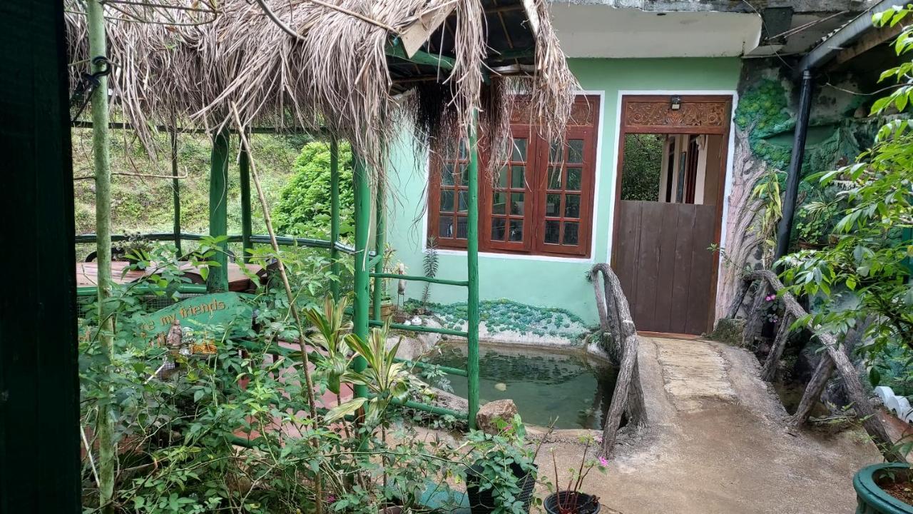 Green House ナラタニヤ エクステリア 写真